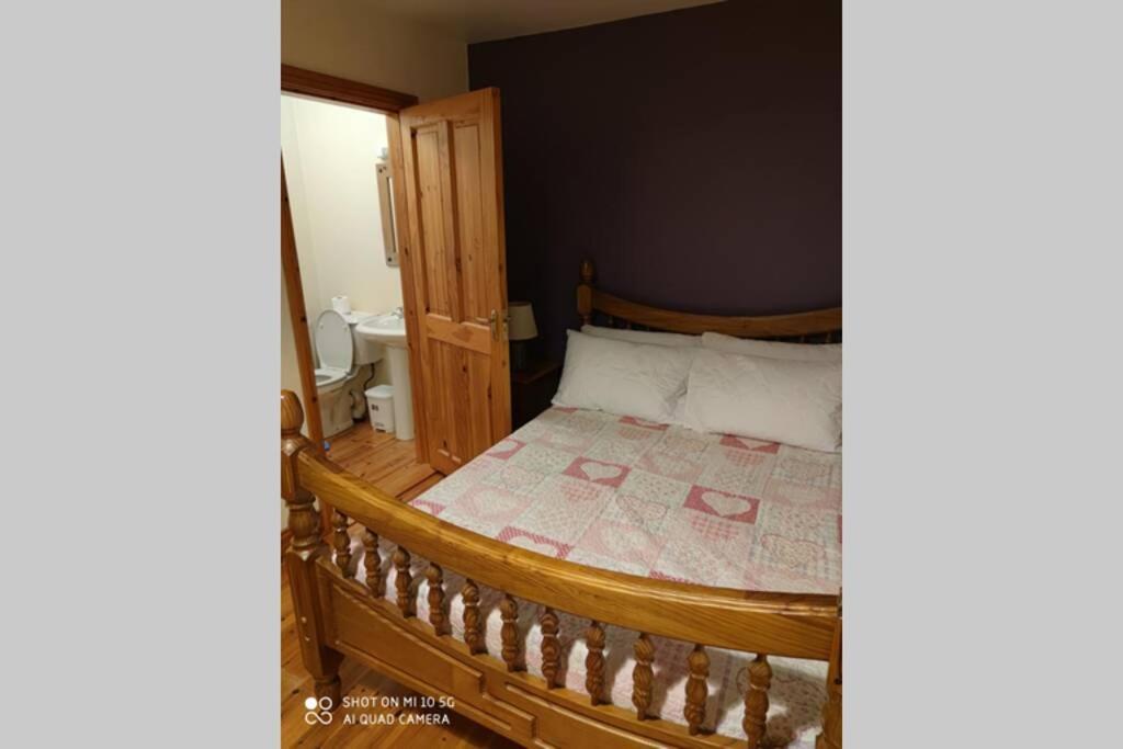 Villa Townhouse 3 Barrow Lane Bagenalstown Esterno foto