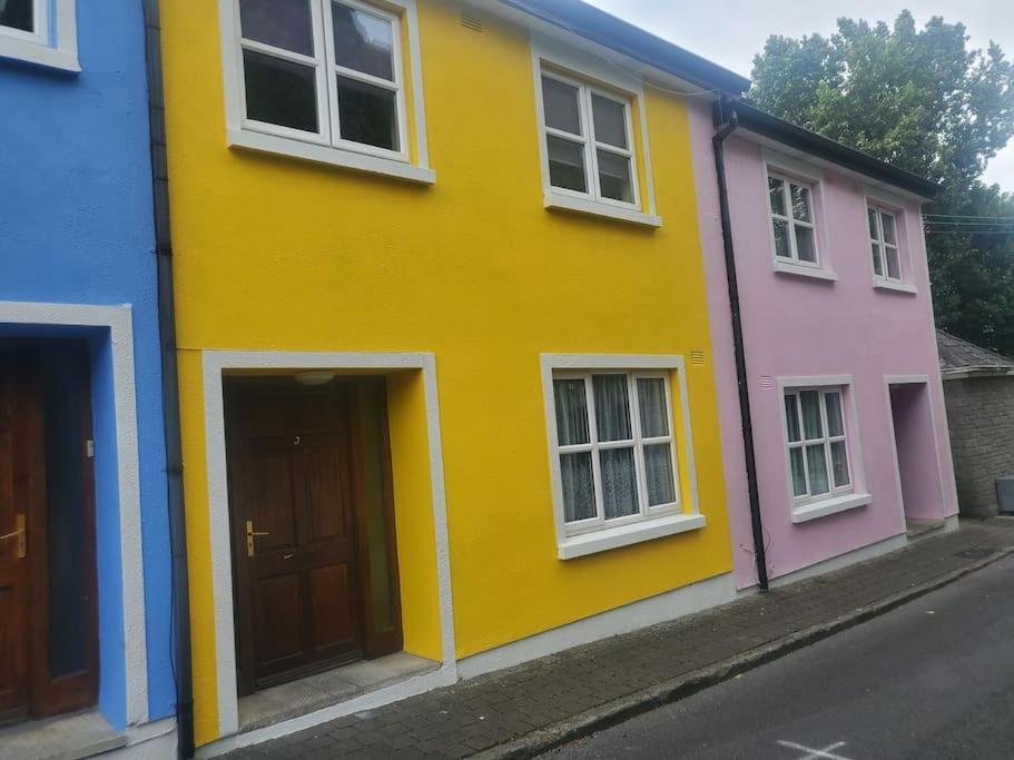 Villa Townhouse 3 Barrow Lane Bagenalstown Esterno foto